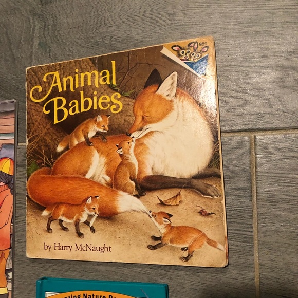 Kids animal 4 book bundle - Picture 4 of 6